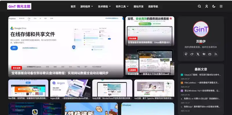 GinT 微光主题深色模式展示图