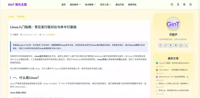 GinT 微光主题文章阅读页展示图